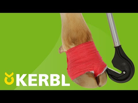 Kerbl Bandagen-Messer mit auswechselbarer Klinge - 16830