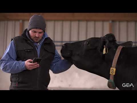 GEA DairyRobot R9500 Melkroboter