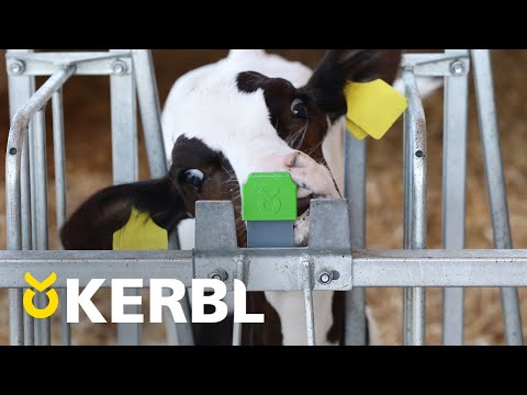 Kerbl AuswurfsicherungBucket Guard nachrüstbar, 3er-Pack 3 Packung 1406