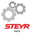 Steyr Seitenfenster 134371212