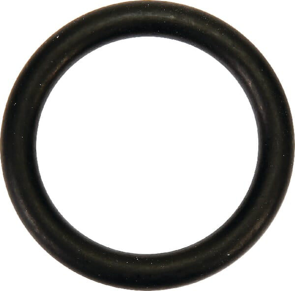 AGCO O-Ring Wasserpumpe V614602950