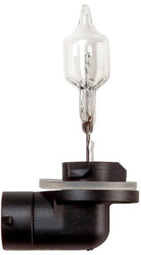 KRAMP Glühlampe 12V 50W PGJ 13 B1286