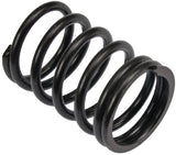 Valve spring