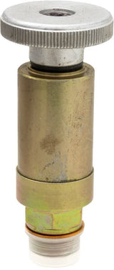 Fuel pump primer