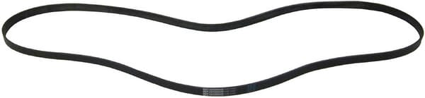 Courroie du ventilateur