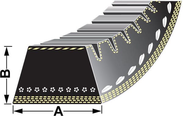 belt