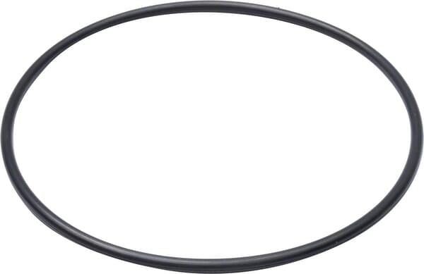 AGCO O-Ring X548974066000