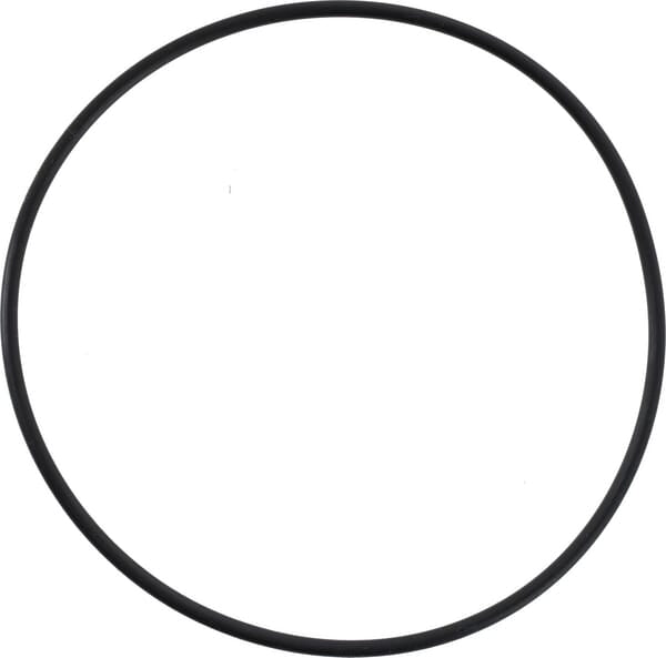 AGCO O-Ring - X548989201000