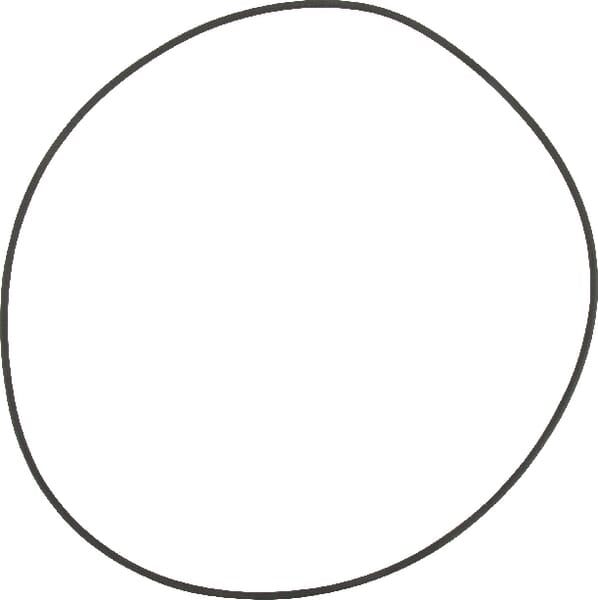 O-ring