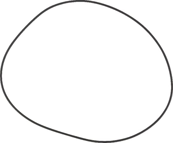 O-ring